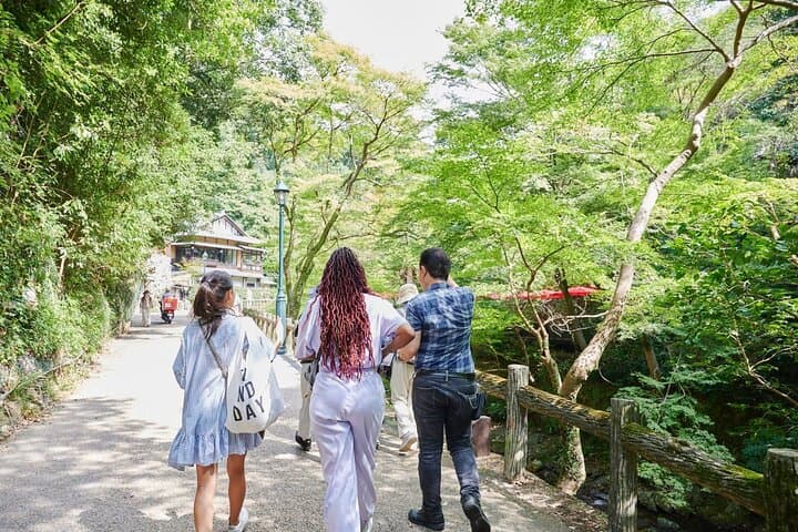 Minoh Waterfall Hike & Ryuanji Temple Walking Tour — Day Trip from Osaka photo 2