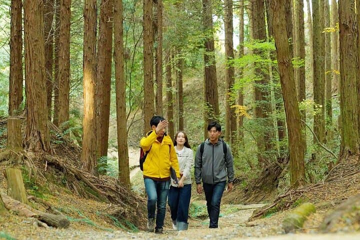 Mt Kunimi Guided Trek — Hirakata Hike with Osaka and Kyoto Panoramas