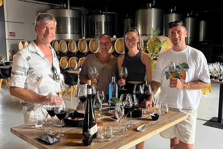 Murcia Wine Tour: Bodega Visit, Tasting & Aroma Workshop in Balsicas