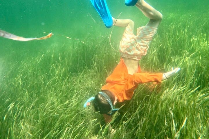Scalloping in Crystal River: Premier Nature Coast Charter Experience photo 3