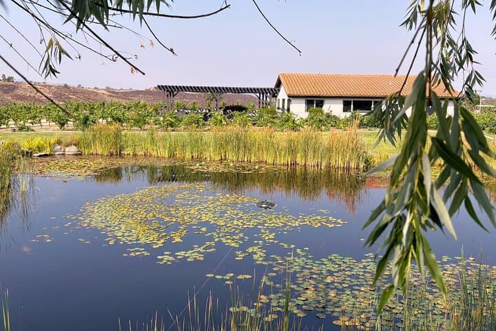Temecula Treasures: Half-Day Wine Tour from Vail Ranch photo 6