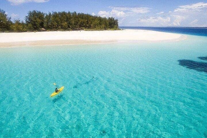 Half-Day Snorkel at Mnemba Island Marine Reserve — Zanzibar photo 4