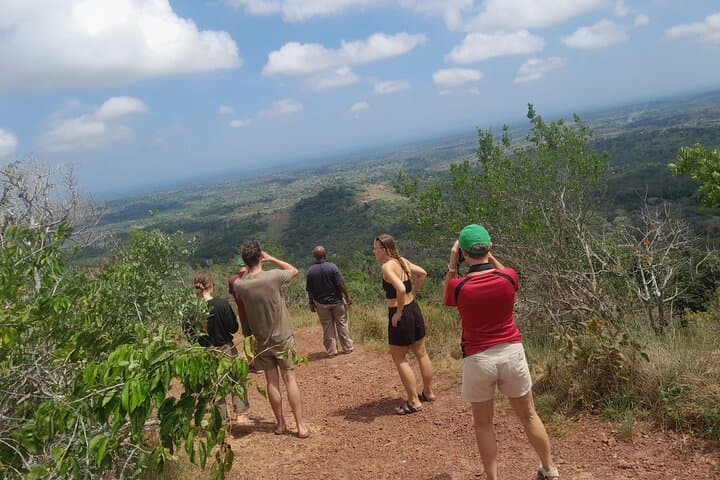 Shimba Hills & Sheldrick Waterfall Day Tour: Coastal Forest Hikes Near Diani Beach photo 3