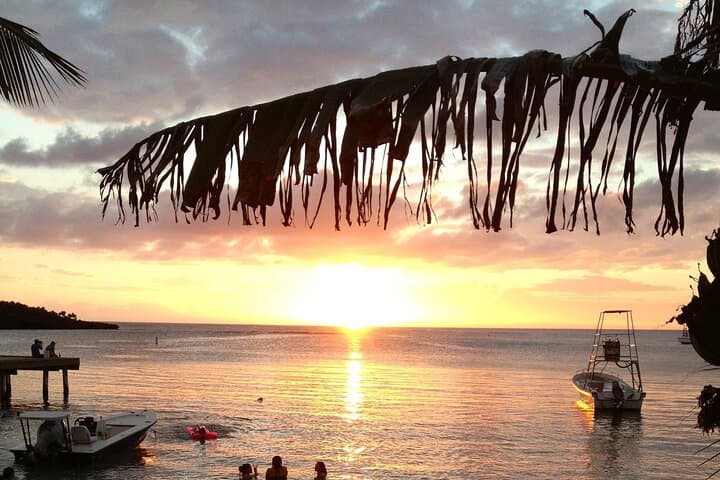 Roatan Night Snorkel & Scuba: Explore the Mesoamerican Reef Under the Stars photo 5