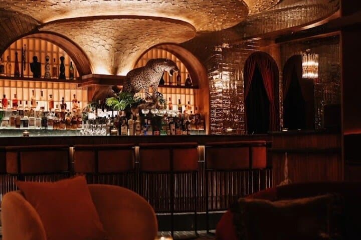 Austin Speakeasy Night Tour: 3-Hour Guided Cocktail Crawl Through Hidden Bars