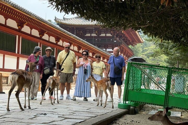 Kyoto Full-Day Excursion from Kobe Port: Private Temples, Gardens & Riverside Walks photo 6