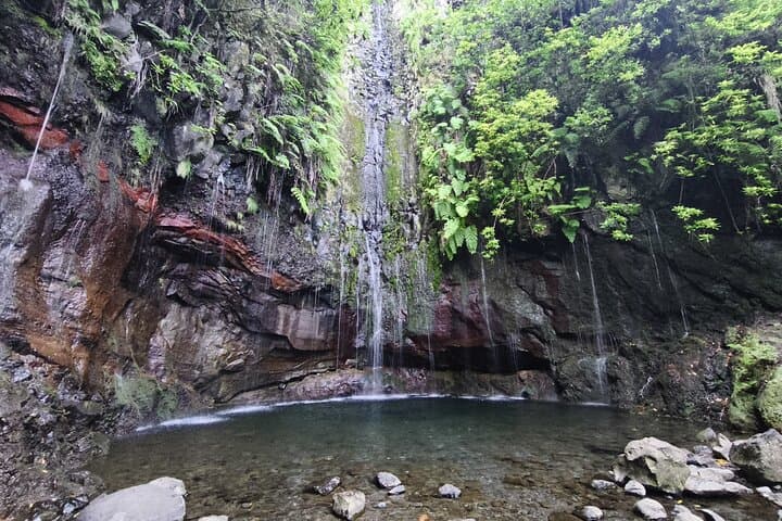 Rabacal Hike: Levada das 25 Fontes & Risco Waterfall Self-Guided Day Trip