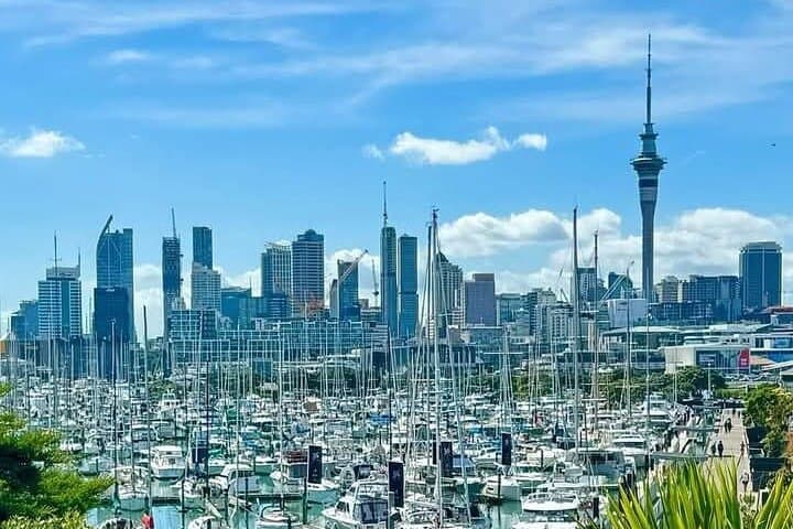 Auckland Half-Day Highlights: Harbour Bridge, Mt Eden & Devonport photo 3