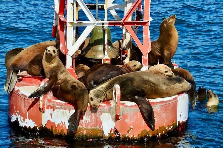 Private Santa Barbara Harbor Cruise on Lil’ Toot — 1-Hour Private Boat Tour photo 2