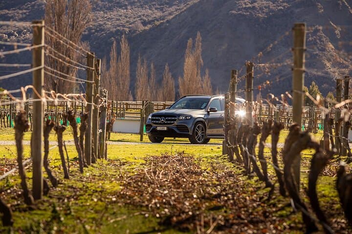 Gibbston Valley Private Wine Tour from Queenstown: Pinot Noir & Alpine Views photo 4