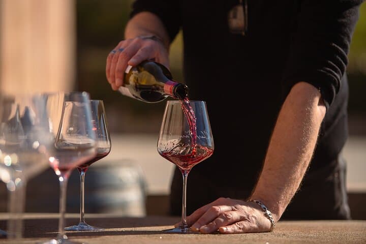 Gibbston Valley Private Wine Tour from Queenstown: Pinot Noir & Alpine Views photo 3