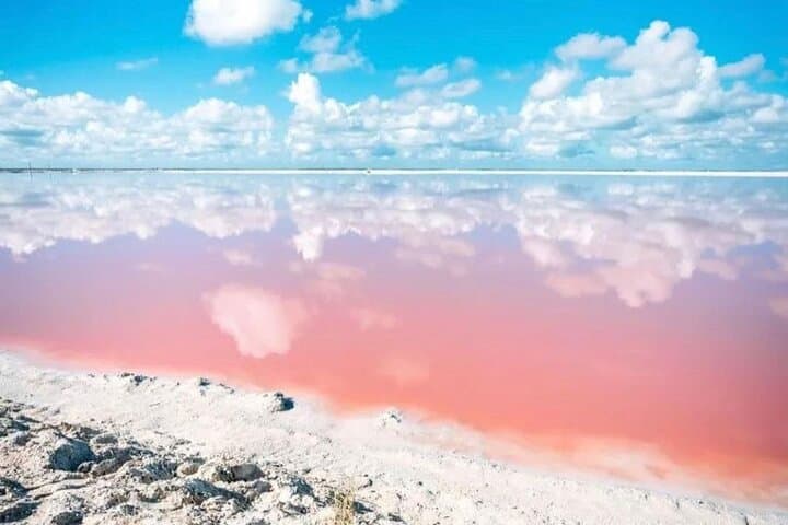Las Coloradas & Río Lagartos Day Tour from Cancún — Pink Lakes, Mangroves & Wildlife photo 2