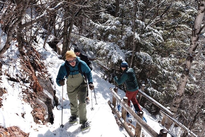 Norikura Frozen Waterfall Snowshoe Tour — Japan Alps Winter Trek photo 4