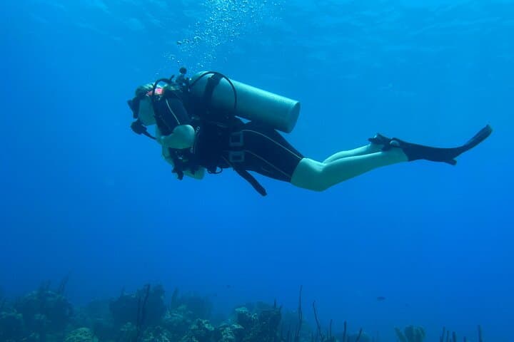Open Water Diver Course in Bávaro — PADI/SSI Certification in Punta Cana photo 5