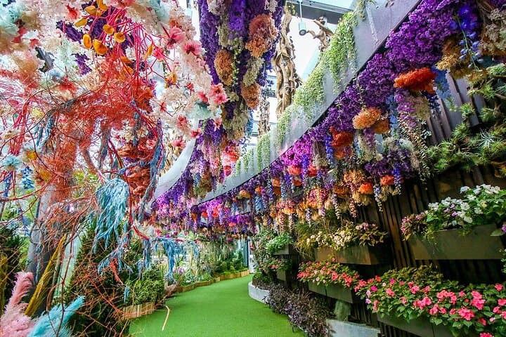 Gardens by the Bay: Cloud Forest, Flower Dome & Supertree Observatory Guide photo 4