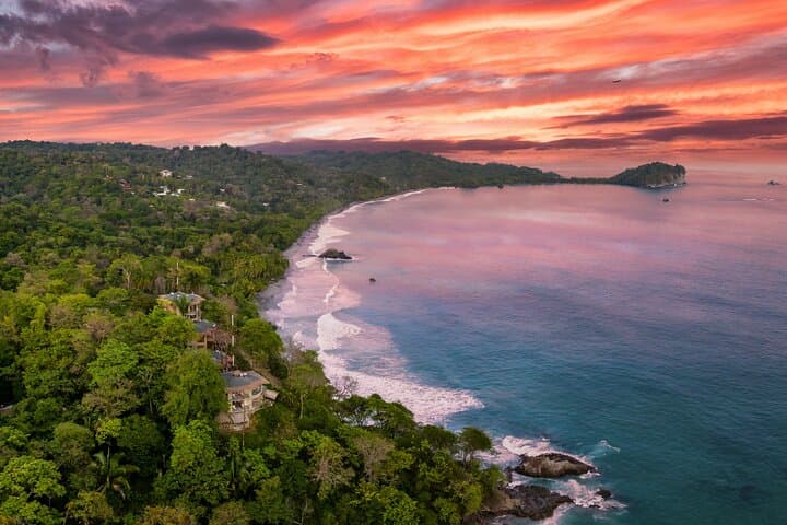 Private Day Trip to Manuel Antonio: Rainforest Trails, Wildlife & Beach Time