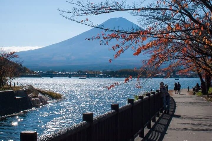 Tokyo to Mount Fuji Private Guided Experience — Custom Day Trips from Tokyo photo 2