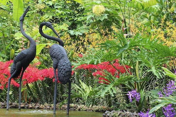 Singapore National Orchid Garden Tickets & Visitor Guide photo 2