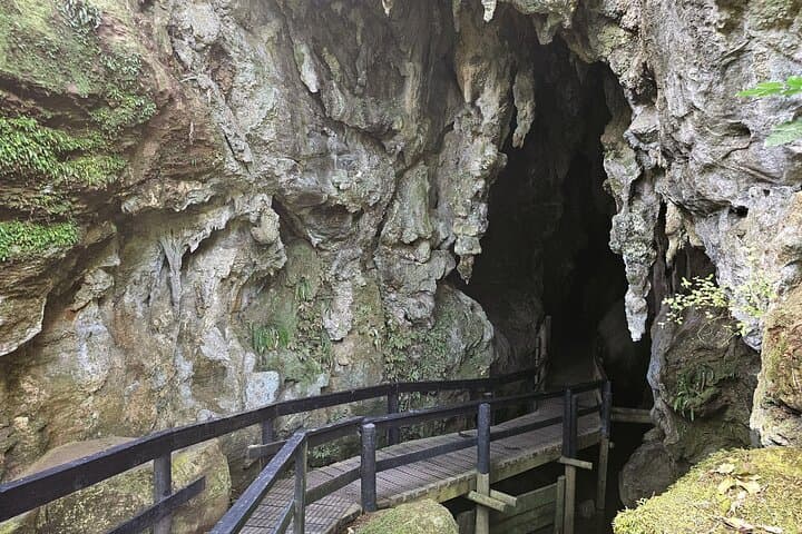 Haruru Waterfalls & Kawiti Glow Worm Caves Tour — Bay of Islands Day Trip photo 4