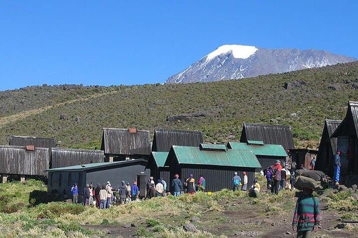 6-Day Marangu Route Kilimanjaro: Hut Trek to Uhuru Peak photo 3