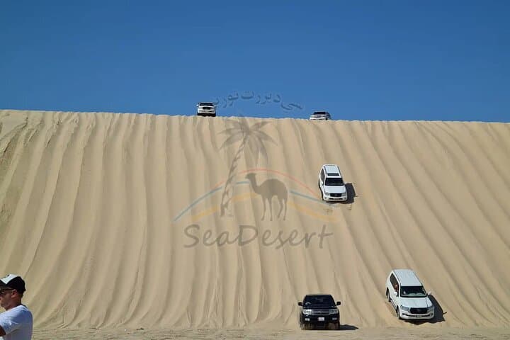 Doha Half-Day Desert Safari: Dunes, Camels & Khor Al Adaid photo 4