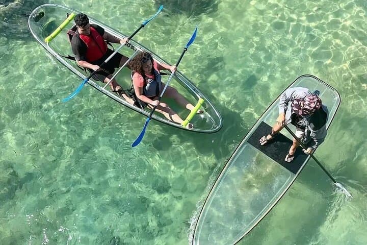Glass-Bottom Kayak Tour in Condado Lagoon — San Juan Nature Kayak Experience photo 4