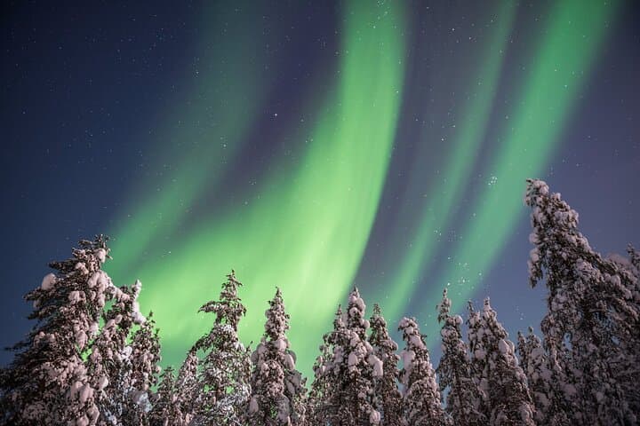 Rovaniemi Northern Lights Hunt & Photography Experience photo 3