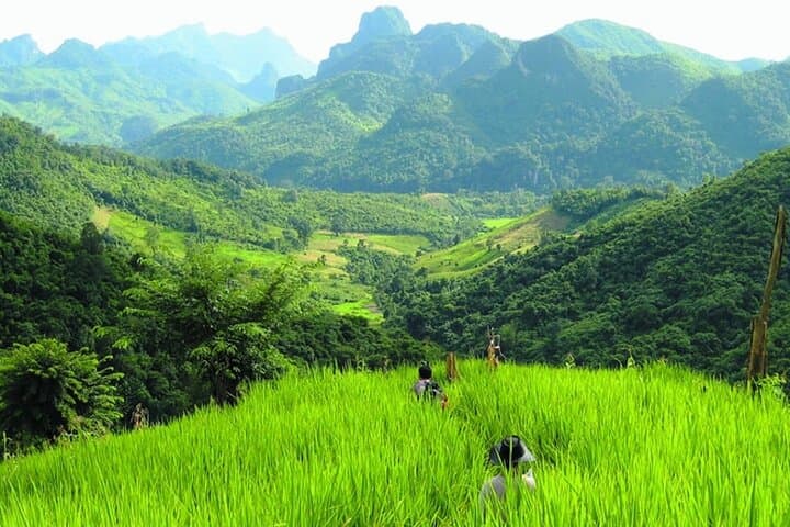 Luang Prabang Mountain Trek to Kuang Si Waterfall — Day Hike, Swim & Bear Rescue Visit photo 5