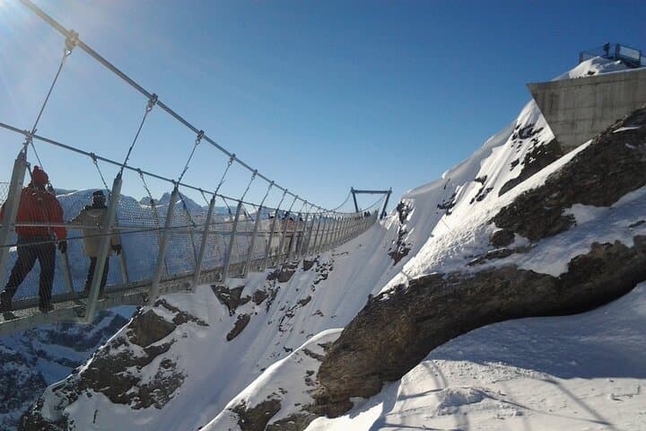 Mount Titlis Glacier World: Private Day Trip from Basel to Snow and Suspension Bridges photo 6