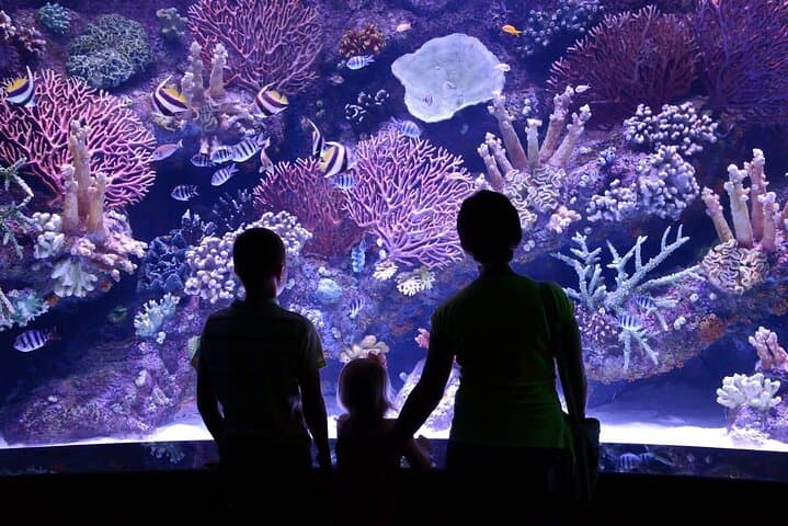 Inside Antalya Aquarium & Fun Park: Private All-Inclusive Tour with Hotel Pickup photo 2