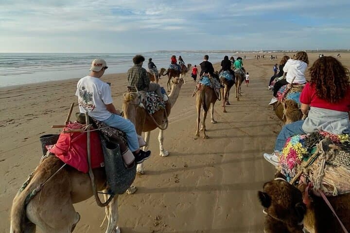 Tangier Camel Ride from Cap Spartel to the Hercules Caves — Coastal Panorama Tour photo 4