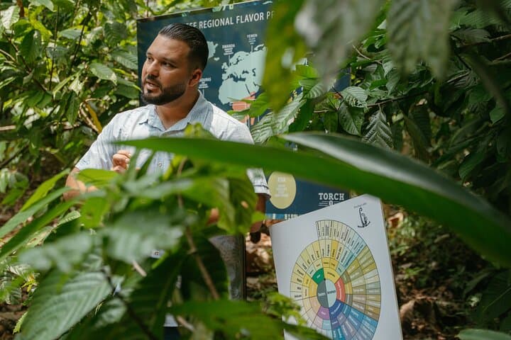 Manuel Antonio Chocolate, Coffee & Trapiche Tour: Jungle Tasting Experience photo 2