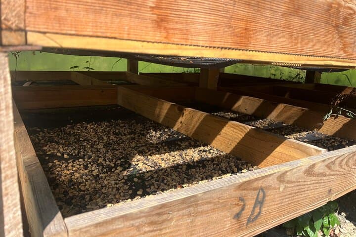 Coffee and Mountains: Personal Coffee Farm Experience in Puerto Plata photo 5