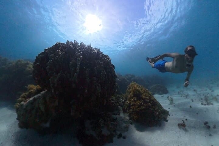 Snorkeling Easter Island’s Coral Reefs: Guided Ovahe Beach Experience photo 5