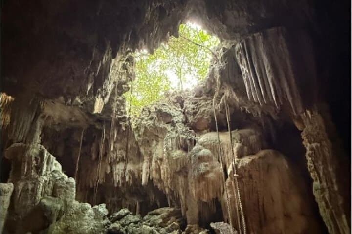 Stingrays, Starfish & Crystal Caves Tour — Grand Cayman Day Trip photo 5