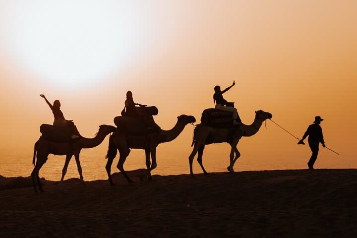 Agadir Timlalin Camel Ride and Tea Picnic in the Dunes photo 3