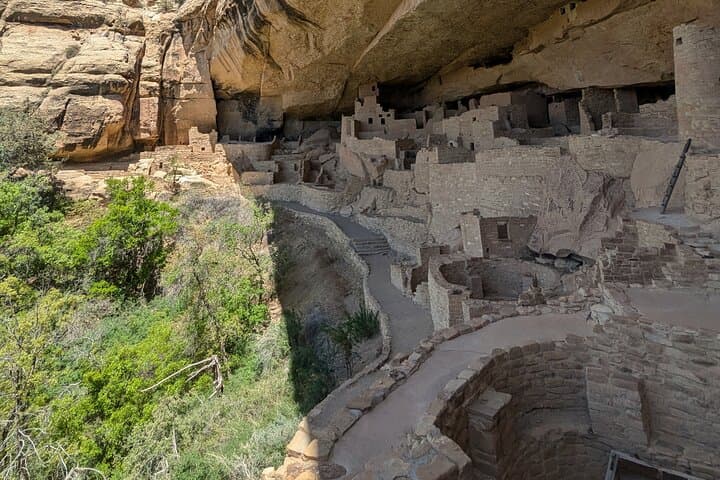 Mesa Verde Express Tour: Ranger-Led Cliff Palace Experience from Durango photo 4
