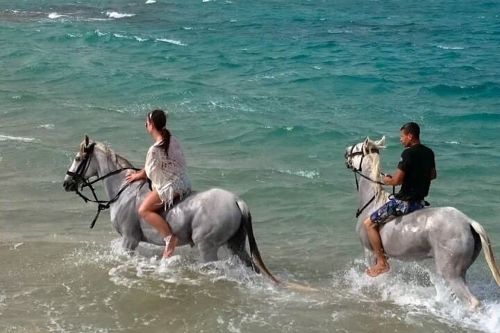 Sunset Horse Ride from Hurghada: Desert Dunes and Sea Swim