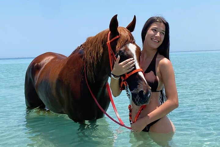 Sunset Horse Ride from Hurghada: Desert Dunes and Sea Swim photo 2