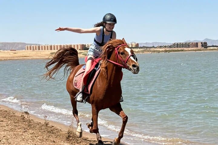 Sunset Horse Ride from Hurghada: Desert Dunes and Sea Swim photo 5