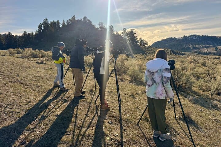 Exploring Yellowstone Wildlife Safari: Lamar Valley’s Untamed Heart photo 2