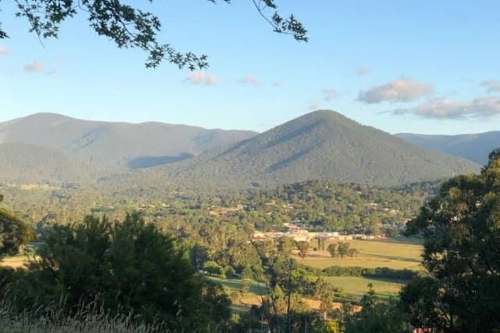 Yarra Valley Night Wine, Whisky & Dinner Private Tour from Melbourne photo 2