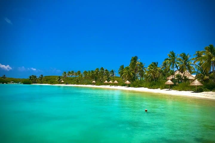 Contoy & Isla Mujeres Day Tour — Snorkel Reef, Birdlife and Beach Lunch photo 1