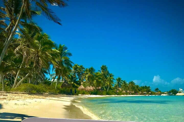 Contoy & Isla Mujeres Day Tour — Snorkel Reef, Birdlife and Beach Lunch photo 3