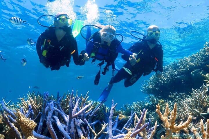 Phu Quoc Island Hopping: Snorkeling, Coral Park & Hon Thom Cable Car photo 2