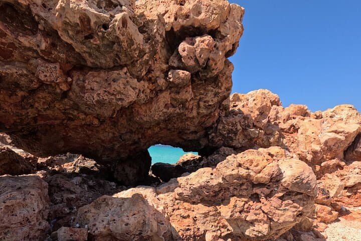 Daymaniyat Islands Turtle Snorkel & Kayak — Day Trip from Muscat photo 5