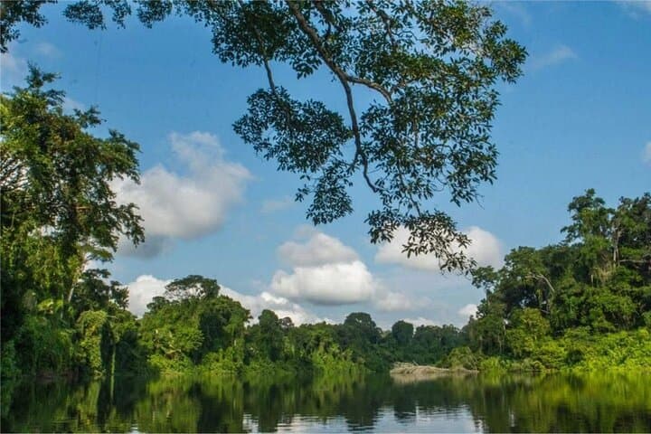 4-Day Manu National Park Amazon Expedition from Cusco photo 6