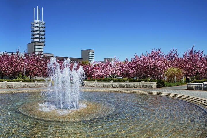 Stony Brook University Scavenger Hunt: 2-Mile Campus Escape Game photo 2