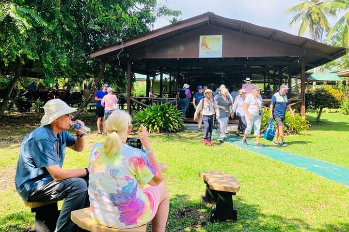 Klias River Firefly & Proboscis Monkey Cruise from Kota Kinabalu