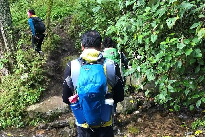 Private Hike to Chipinque from Monterrey — Full-Day Pine-Oak Trail Experience photo 3